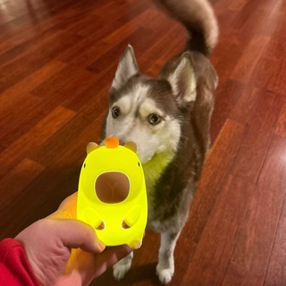 Тоха Т2Х2
