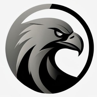 Talon Reports