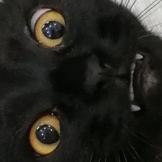 Пиздим мемы с двача