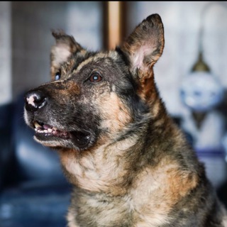 tati687 🐾🐾