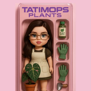 Tatimops Plants | Комнатные растения ( антуриум, алоказия , бегония , сингониум )