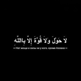 ll.ssv_