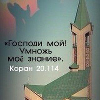 Тауба on-line