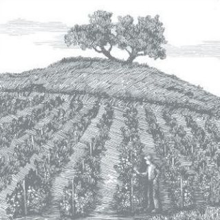 Tempelhof _winery