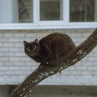 тепло.