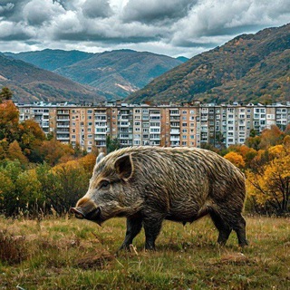 Тетюхе | Дальнегорск