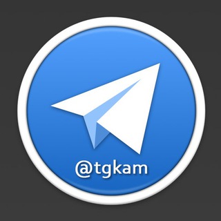 TG Группы Камчатка