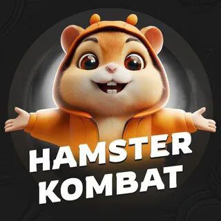 Hamster kombat ( бонусы и карточки )