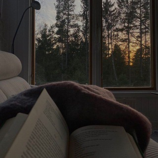 парадокс книг 📜