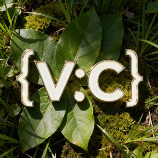 VISUAL CODE