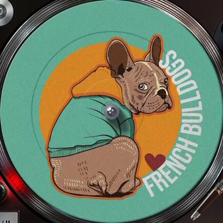 Французский бульдог / French bulldog