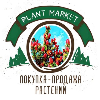 The plant market (Покупка-продажа растений)