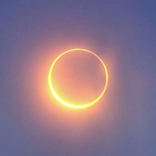 Sunny Moon!