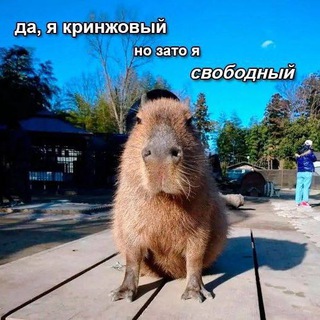 LiterallyME | для чайников