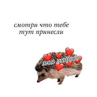 Истории для отдыха✨🍓