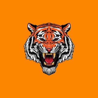 Tiger Hack🇹🇷[CHAT]