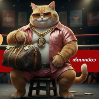 AstroFight