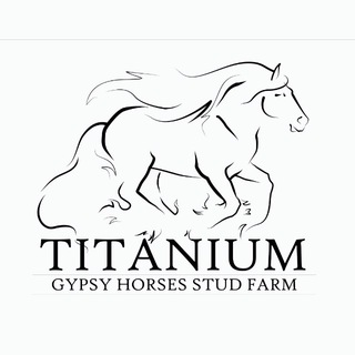 Libontova 🍀 Titanium Stud Farm