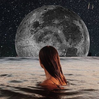 To the moon