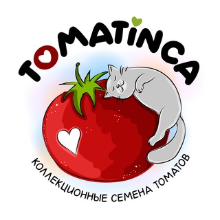 Tomatinca🍅