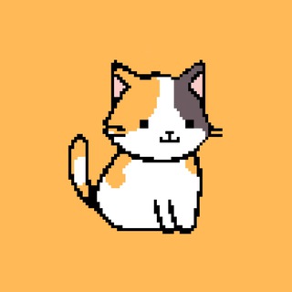 TON CAT💎