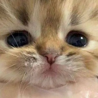 COMO