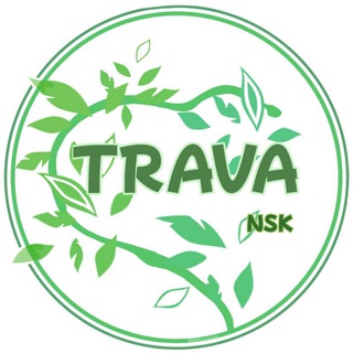 TRAVA_nsk | Микрозелень