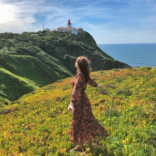 travelpolly