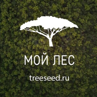 Семена растений, опт и розница