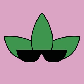 ｔｒｅｅｓ．ｆｉｎａｎｃe || GANJA &amp; BLAZE