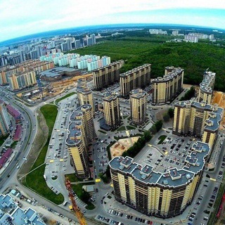 НОВОСТИ ОЛИМПИЙСКИЙ, АВАНГАРД, 5 СТОЛИЦ | ВОРОНЕЖ
