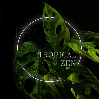 TROPICAL ZEN