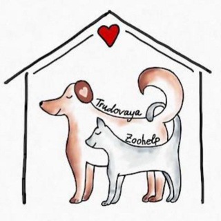 trudovaya_zoohelp
