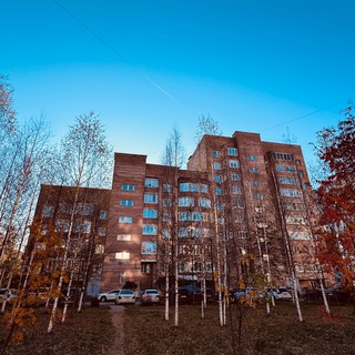 Будни председателя ТСЖ