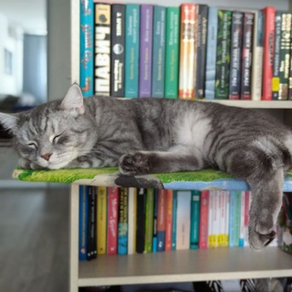 Цундоку (книжная лента) 📚