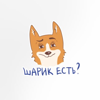 Ракетка | Настольный теннис | Калуга
