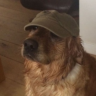 TUATY
