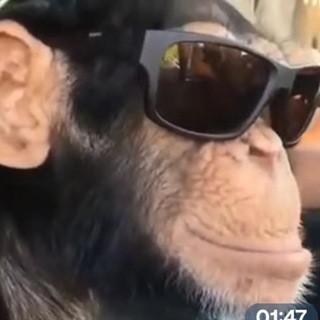 I am тумба