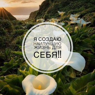 Я все могу