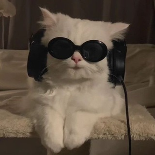 Убежище меломана