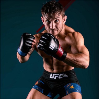 UFC Ring 👊