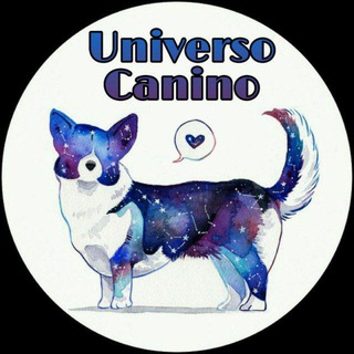 Uᥒιvᥱrso Cᥲᥒιᥒo 🐶