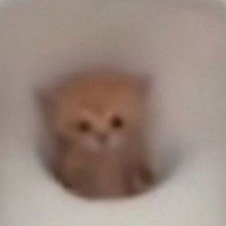 لـ داركو