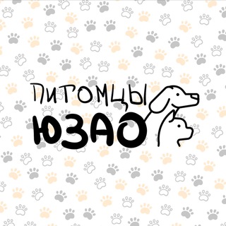 Питомцы в ЮЗАО