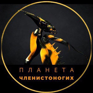 Планета членистоногих / насекомые