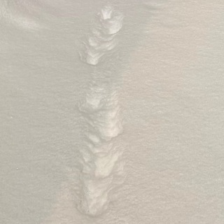 Я есть.