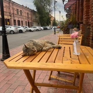 верчик