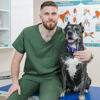 VETERINARY_SURGERY