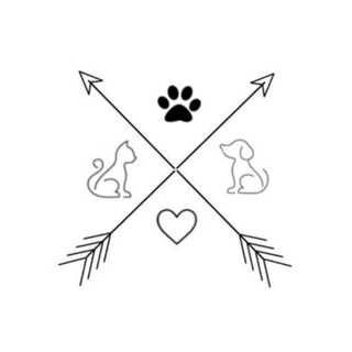 Vet’s blog 🐾