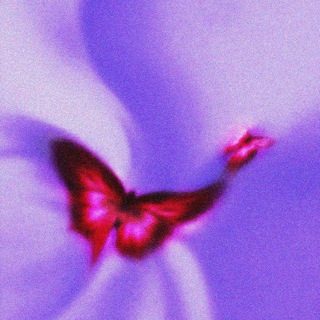 Вайбик𓅀